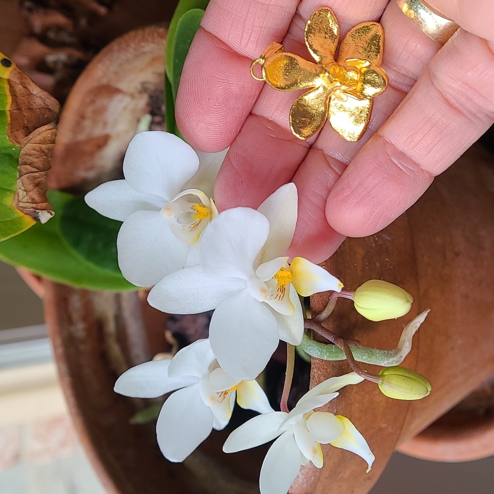 RISIS Orchid Pendant
